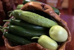 免费吃网红瓜网站推荐,免费吃网红瓜网站带你畅游娱乐圈